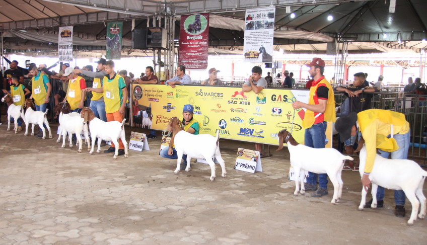 ASN Pernambuco - Agência Sebrae de Notícias