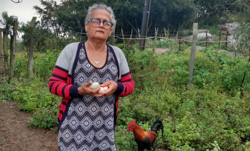 ASN Pernambuco - Agência Sebrae de Notícias