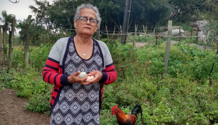 ASN Pernambuco - Agência Sebrae de Notícias