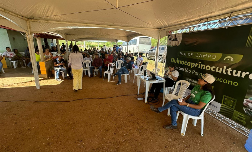 ASN Pernambuco - Agência Sebrae de Notícias