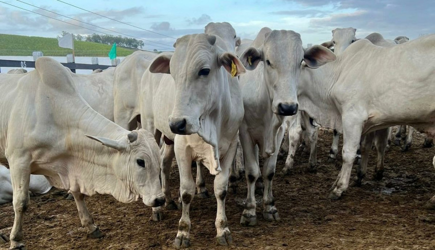 ASN Pernambuco - Agência Sebrae de Notícias