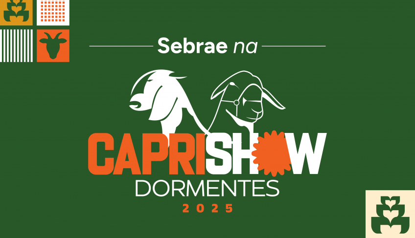 ASN Pernambuco - Agência Sebrae de Notícias