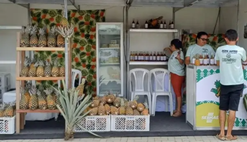ASN Pernambuco - Agência Sebrae de Notícias