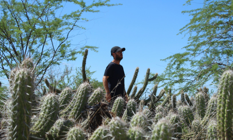 Pessoa em área de caatinga cercada por cactos, representando biodiversidade e preservação do bioma.