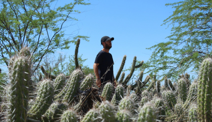 Pessoa em área de caatinga cercada por cactos, representando biodiversidade e preservação do bioma.