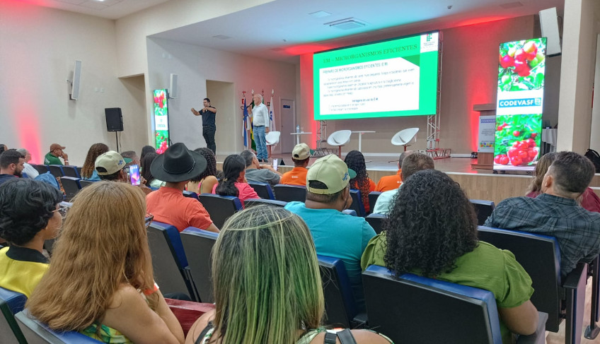 ASN Pernambuco - Agência Sebrae de Notícias