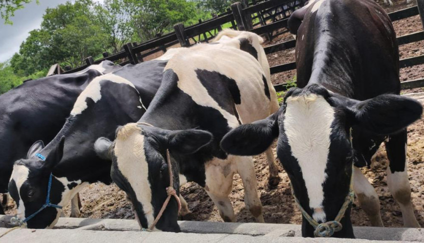 ASN Pernambuco - Agência Sebrae de Notícias