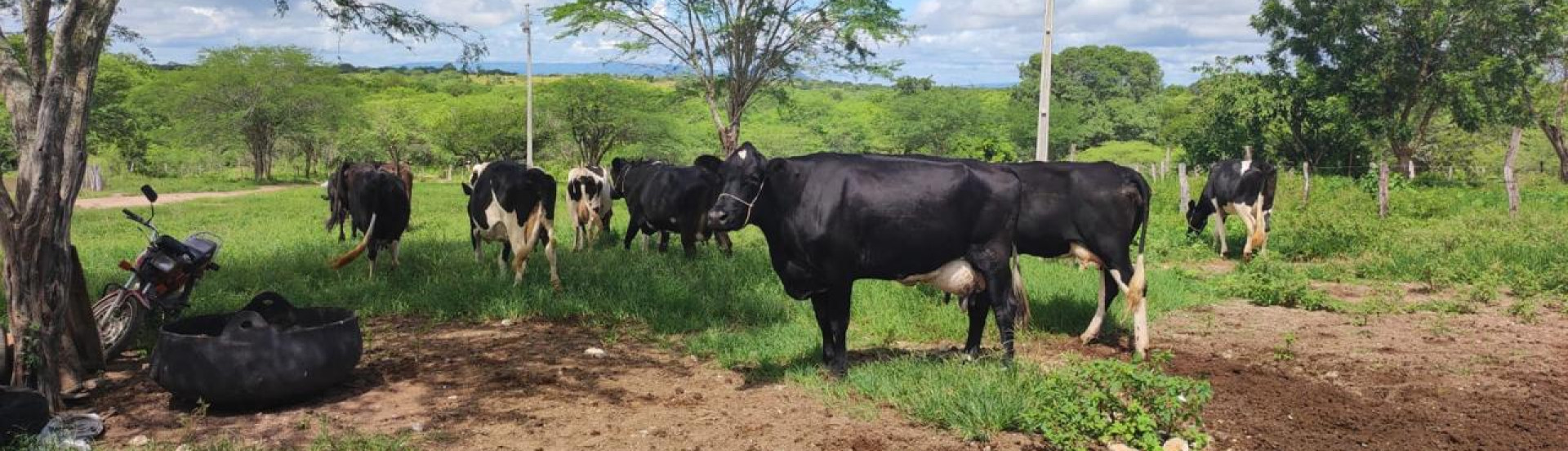 ASN Pernambuco - Agência Sebrae de Notícias