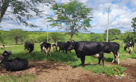 ASN Pernambuco - Agência Sebrae de Notícias