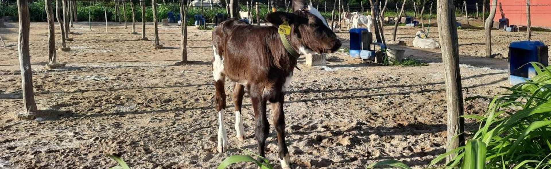 ASN Pernambuco - Agência Sebrae de Notícias