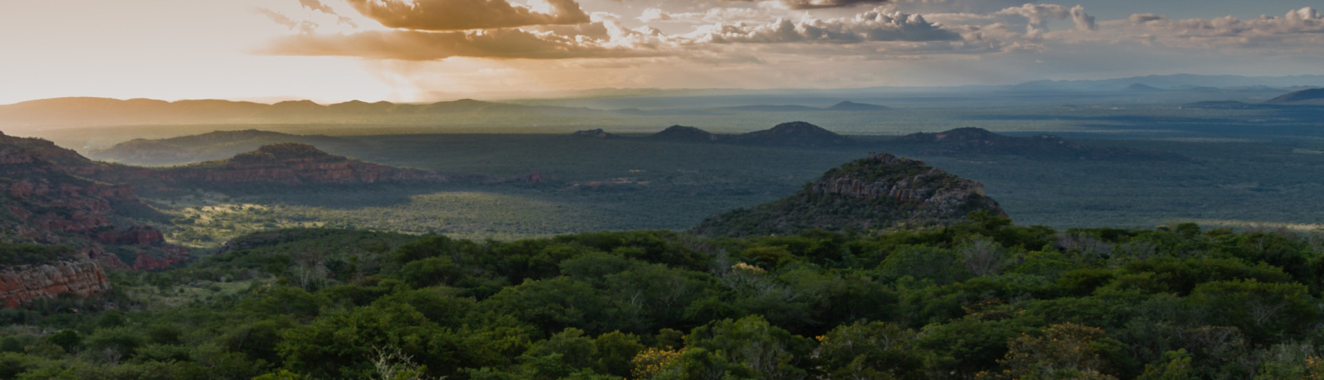 ASN Pernambuco - Agência Sebrae de Notícias