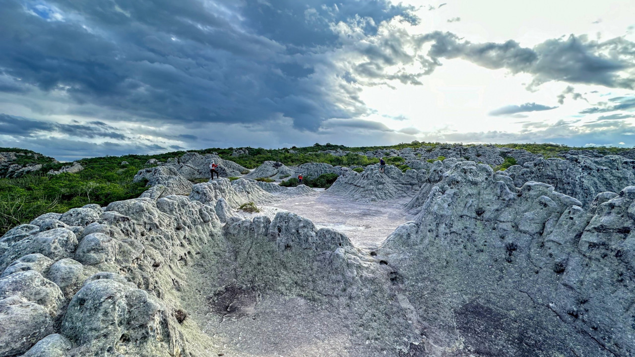 ASN Pernambuco - Agência Sebrae de Notícias