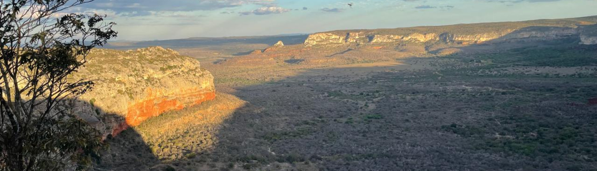 ASN Pernambuco - Agência Sebrae de Notícias
