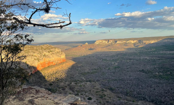ASN Pernambuco - Agência Sebrae de Notícias