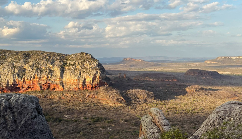 ASN Pernambuco - Agência Sebrae de Notícias