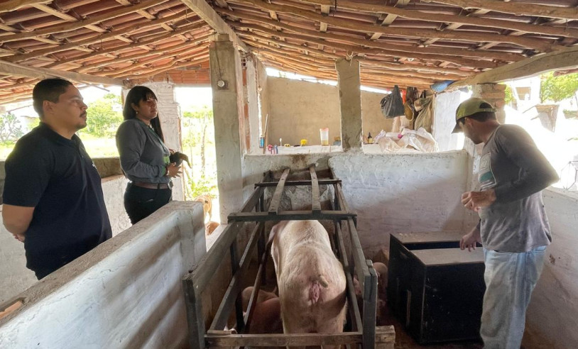 ASN Pernambuco - Agência Sebrae de Notícias