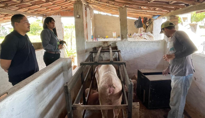 ASN Pernambuco - Agência Sebrae de Notícias