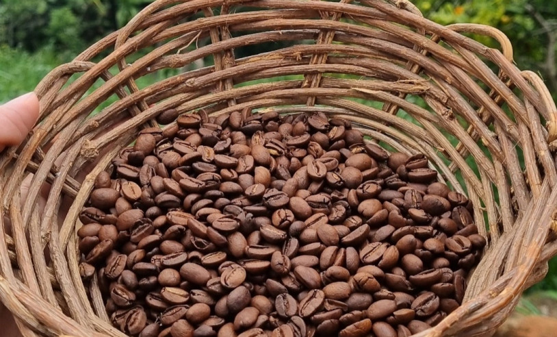 ASN Pernambuco - Agência Sebrae de Notícias