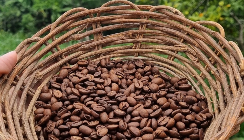 ASN Pernambuco - Agência Sebrae de Notícias