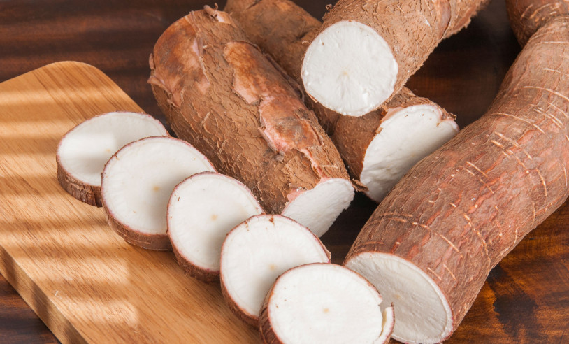 ASN Pernambuco - Agência Sebrae de Notícias