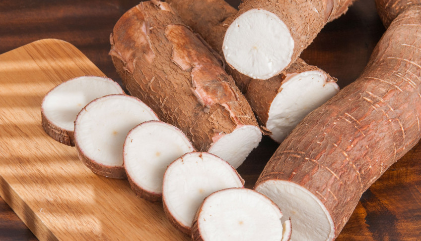 ASN Pernambuco - Agência Sebrae de Notícias