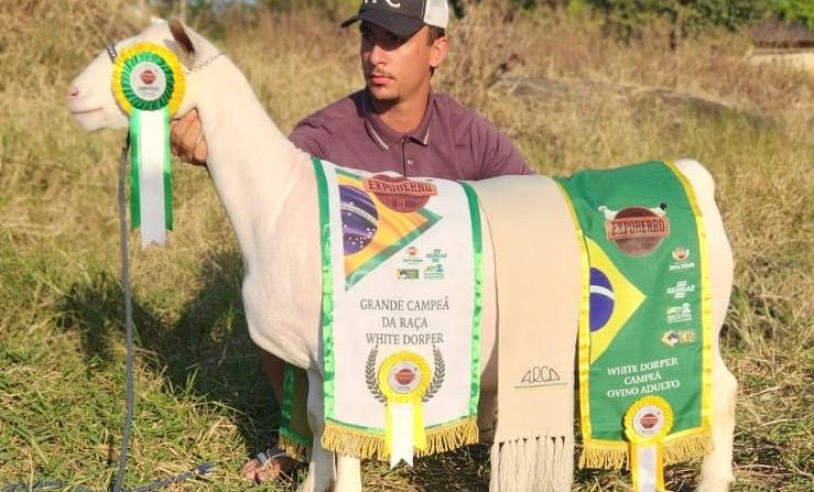 ASN Pernambuco - Agência Sebrae de Notícias