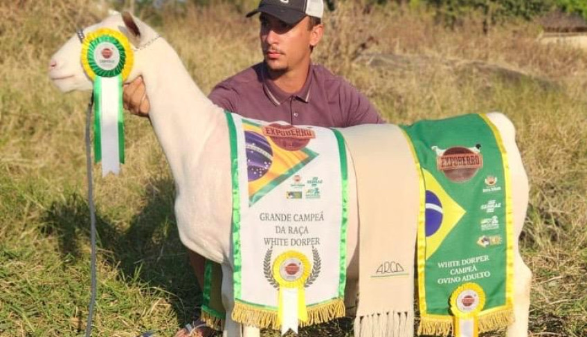 ASN Pernambuco - Agência Sebrae de Notícias