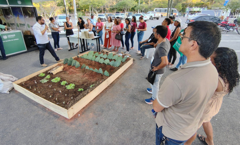 ASN Pernambuco - Agência Sebrae de Notícias
