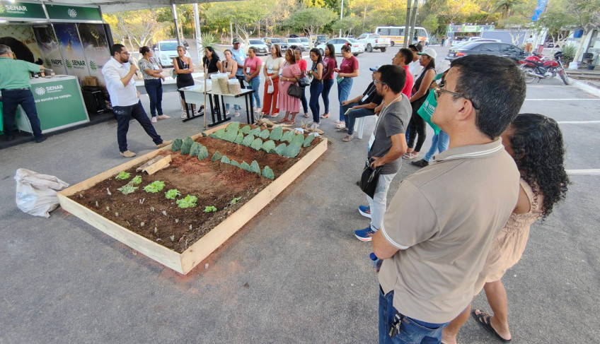 ASN Pernambuco - Agência Sebrae de Notícias