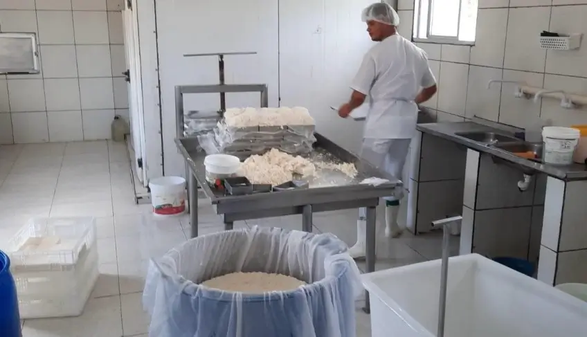 ASN Pernambuco - Agência Sebrae de Notícias